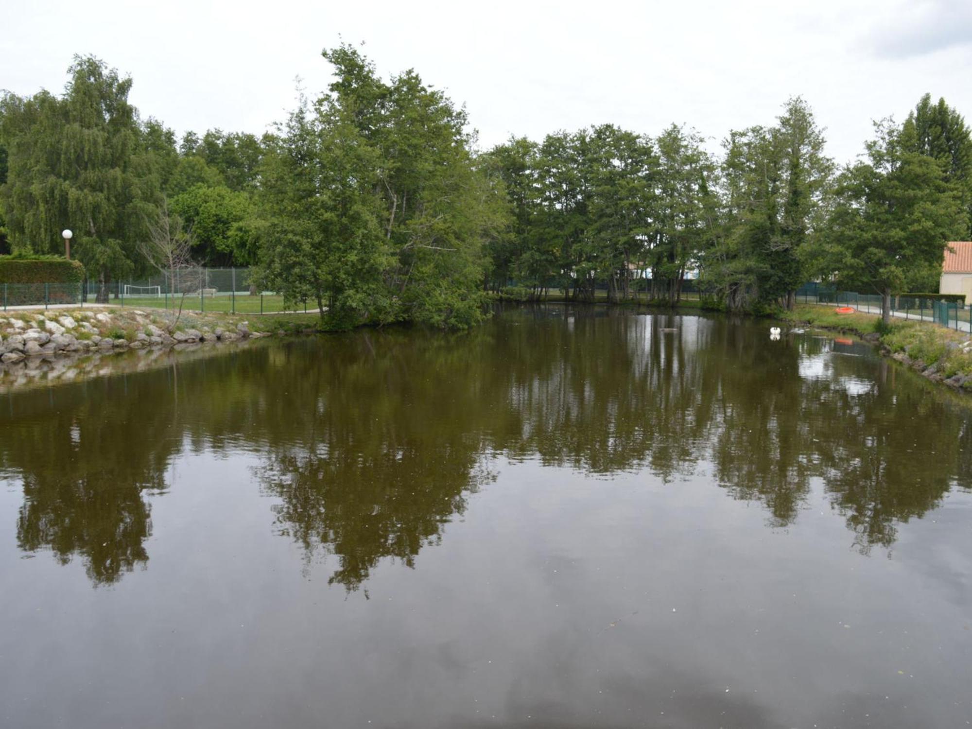 Maison Avec Piscine, Tennis Et Lac - Proche Foret Et Plages - Les Mathes - Fr-1-550-72 Apartment Bagian luar foto